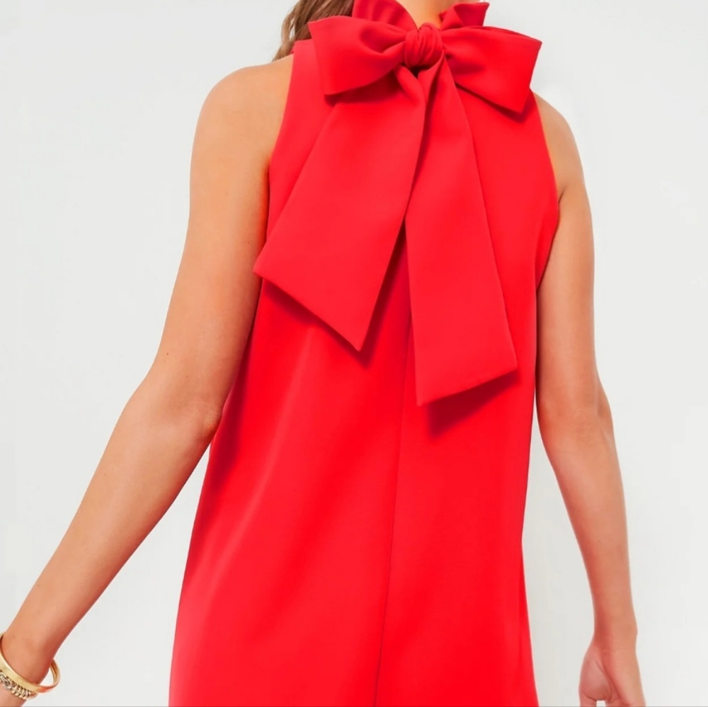 Tuckernuck xxxl mini party dress in red - Picture 3 of 12